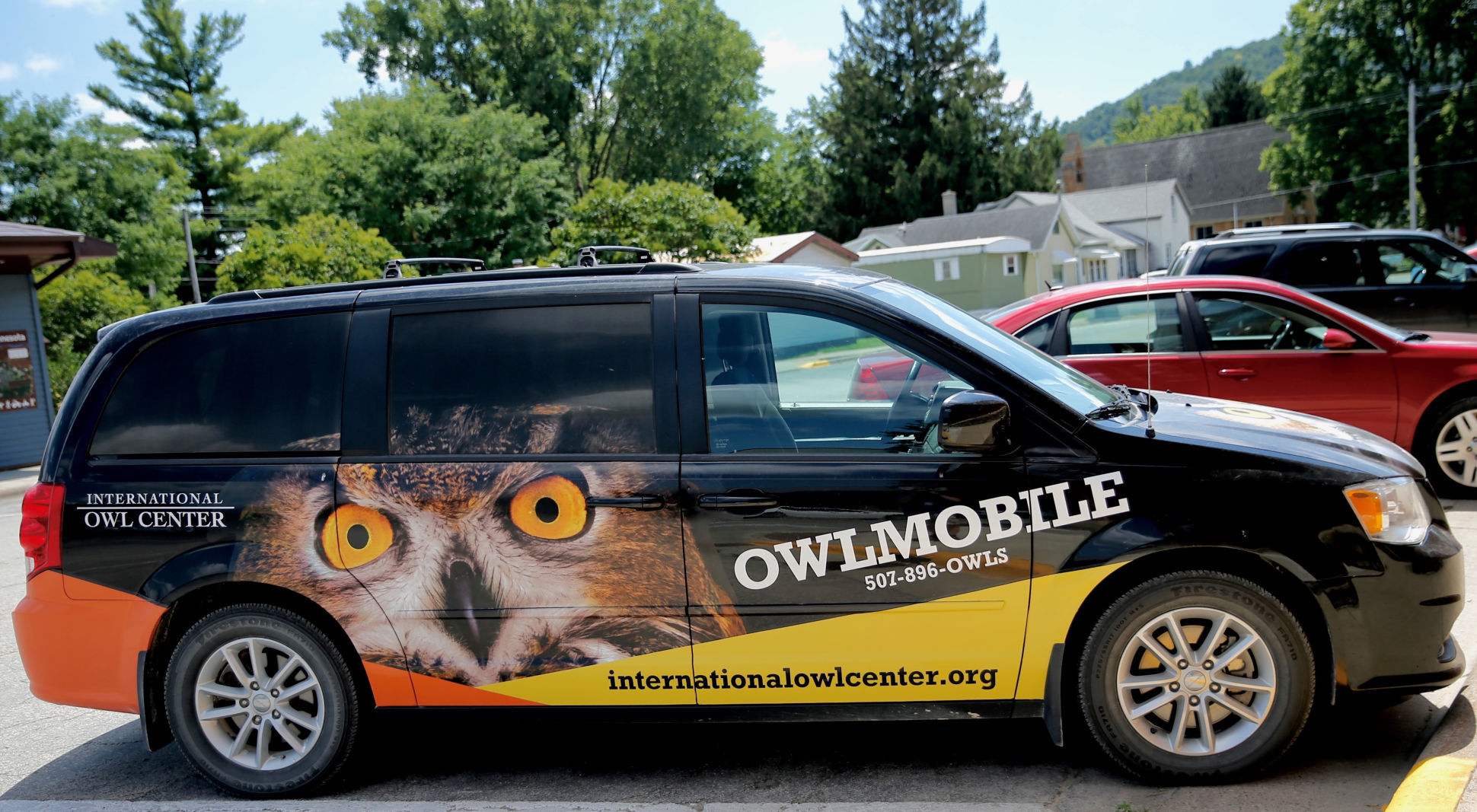 International Owl Awareness Day